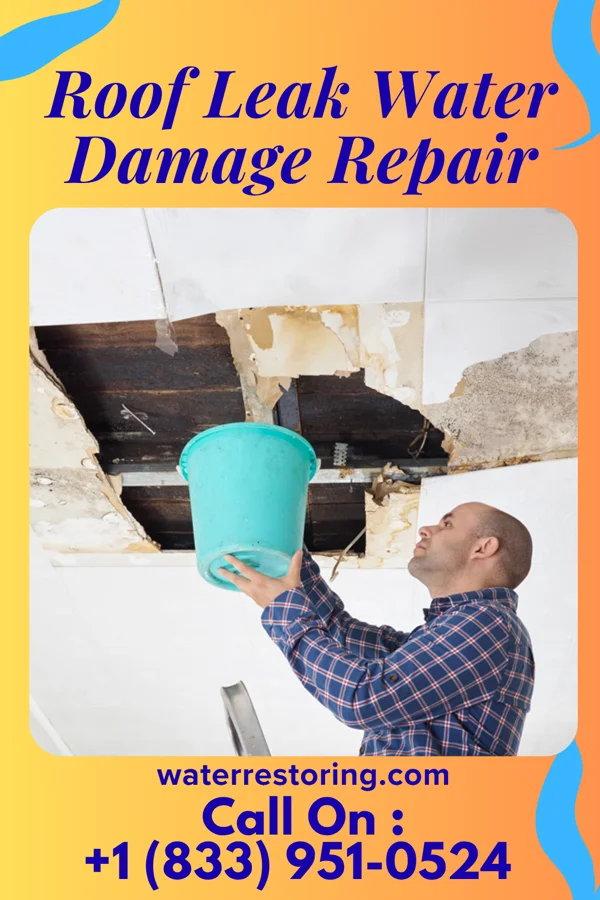 Roof Leak Water Damage Repair in Prescott, AR