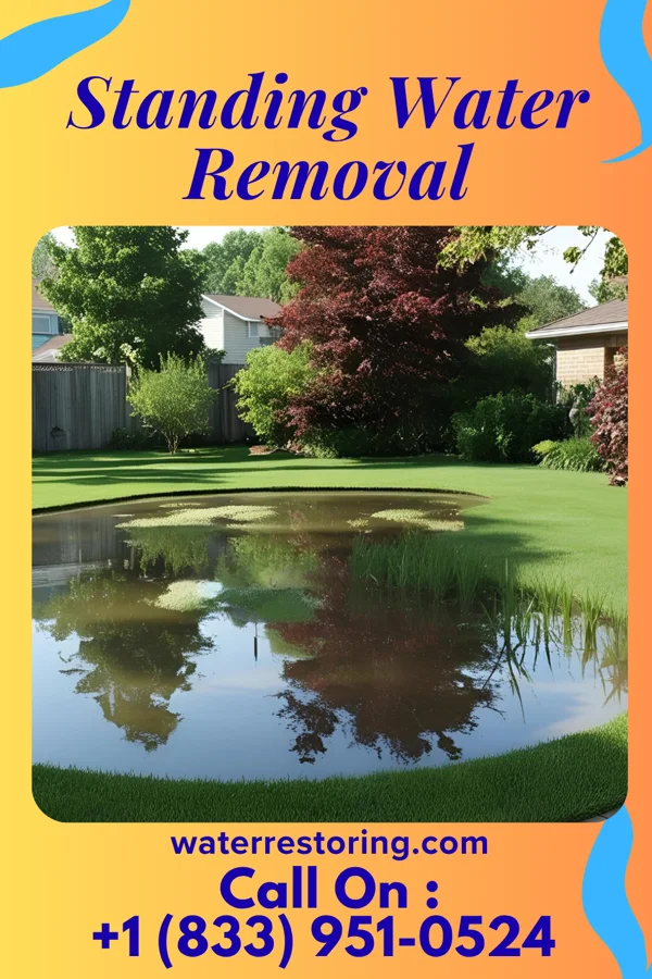 Standing Water Removal in Prescott, AR